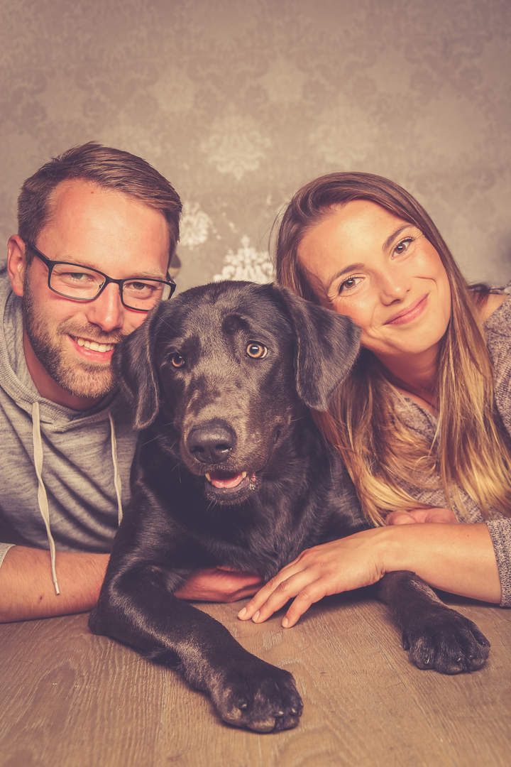 Labradore vom Heidedorf